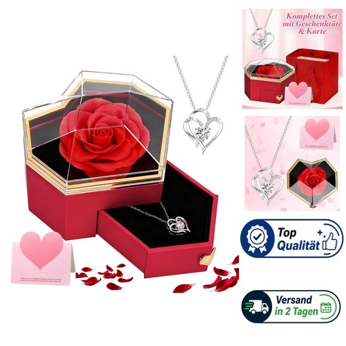 Ewige rose mit kette - rose,